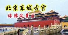 大鸡巴操人网站中国北京-东城古宫旅游风景区